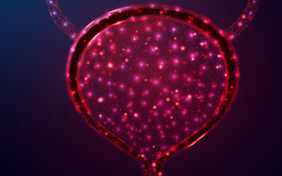 Expert Commentary on the Product Profile of Enfortumab Vedotin Plus Pembrolizumab