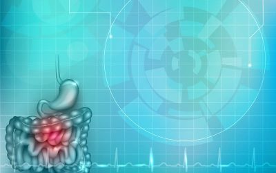 HER2-Related Biomarkers Confer Response to T-DXd in Advanced Gastric Cancer