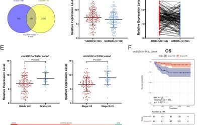 Exploring the oncogenic potential of circSOD2 in clear cell renal cell carcinoma