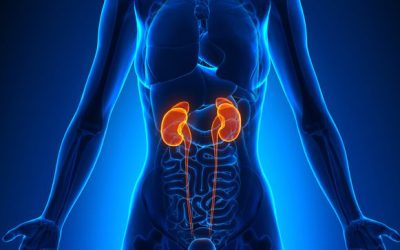 Sara Coca Membribes: KIM1 in Advanced RCC Published in European Urology – OncoDaily