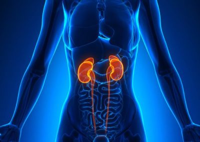 Sara Coca Membribes: KIM1 in Advanced RCC Published in European Urology – OncoDaily